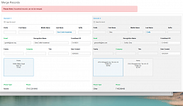 Show Record type (Individual or Company) when merging records